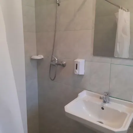 Vila Raysa Si Andrei Gasthof 3*