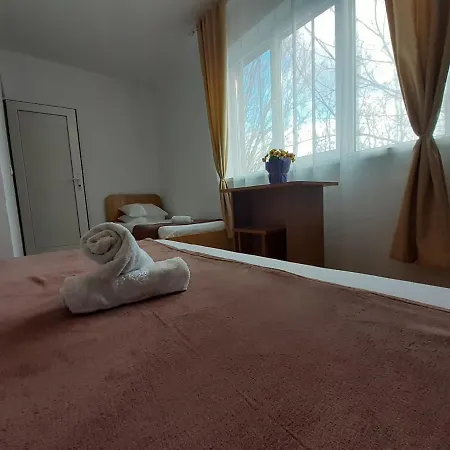 Vila Raysa Si Andrei 3* Costinesti